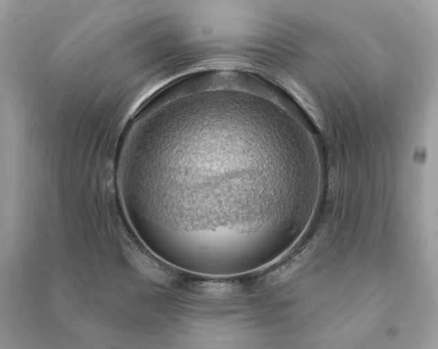 X0000090981465200708091447