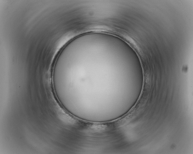 X0000090981466200708091447