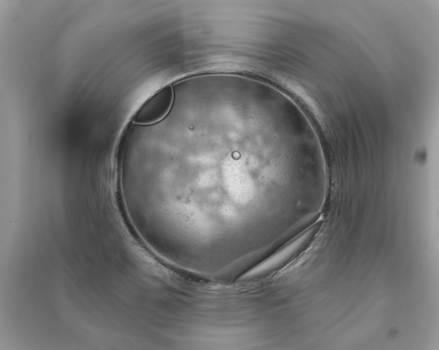 X0000090981467200708091447