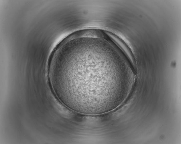 X0000090981469200708091447