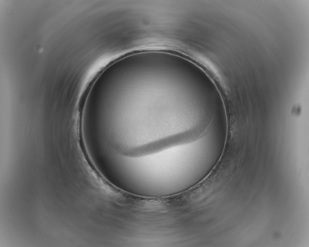 X0000090981472200708091447