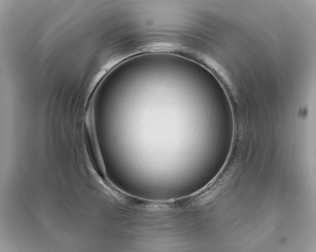X0000090981473200708091447