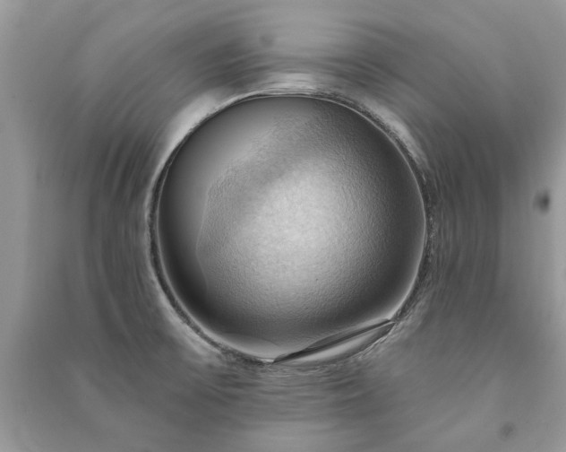X0000090981475200708091447