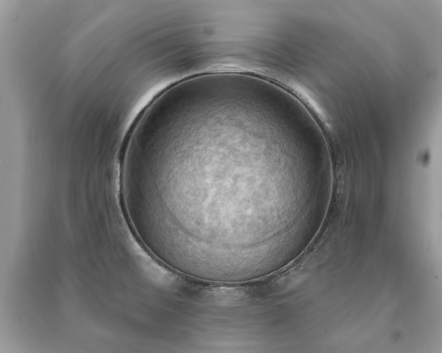 X0000090981476200708091447