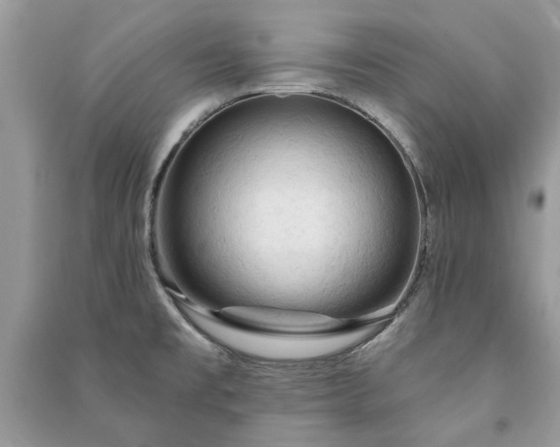 X0000090981477200708091447
