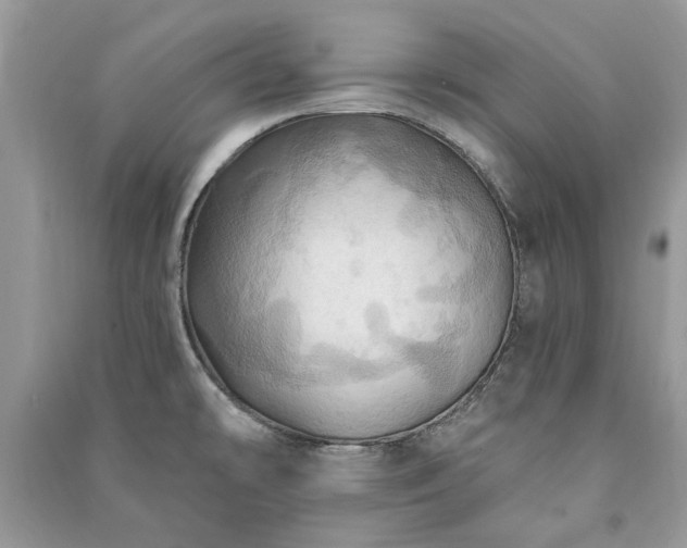 X0000090981478200708091447