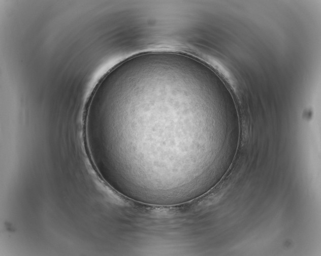 X0000090981480200708091447