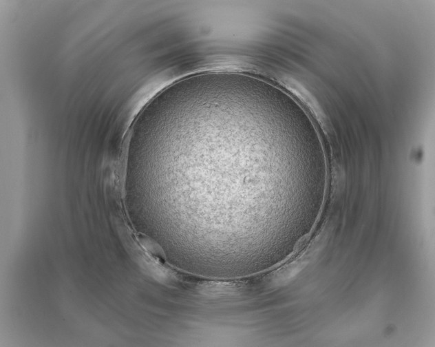 X0000090981481200708091447