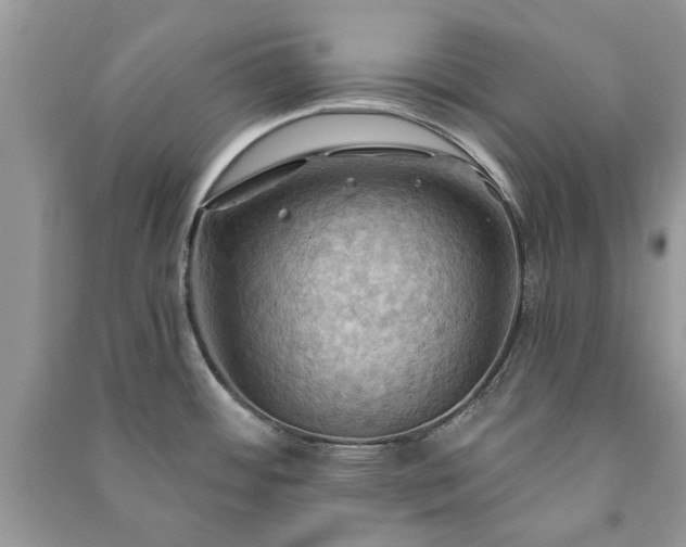X0000090981484200708091447