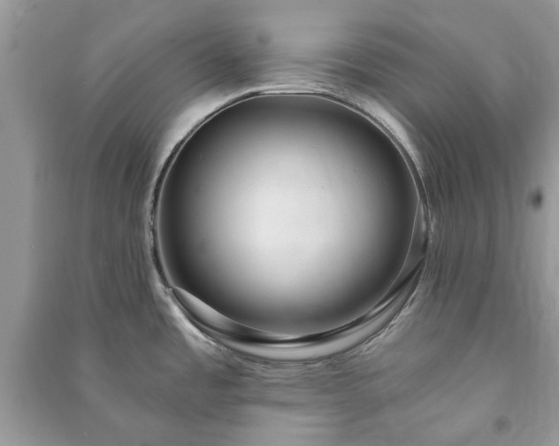 X0000090981485200708091447