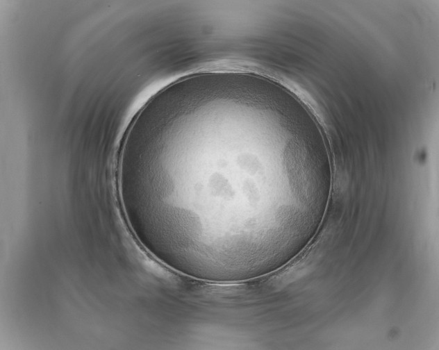 X0000090981486200708091447