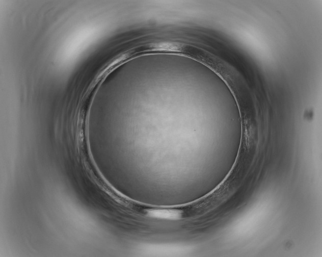X0000090981487200708091447
