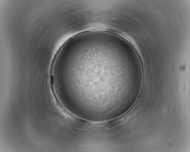 X0000090981488200708091447
