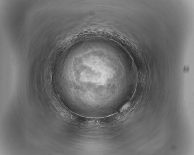 X0000090981489200708091446