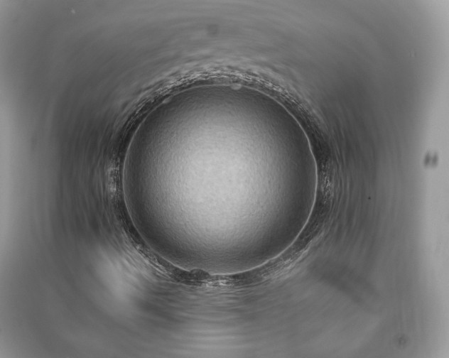 X0000090981490200708091446