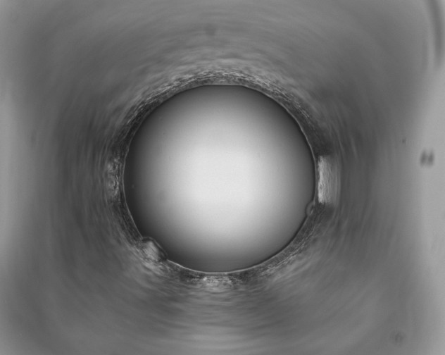X0000090981491200708091446
