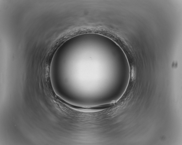 X0000090981492200708091446