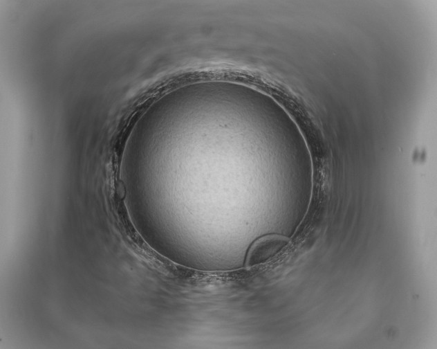 X0000090981493200708091446