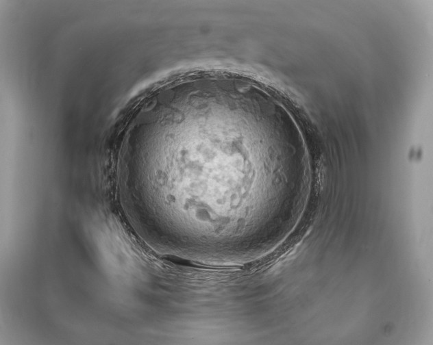 X0000090981494200708091446