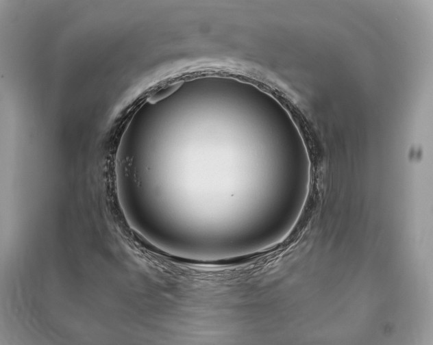 X0000090981496200708091446