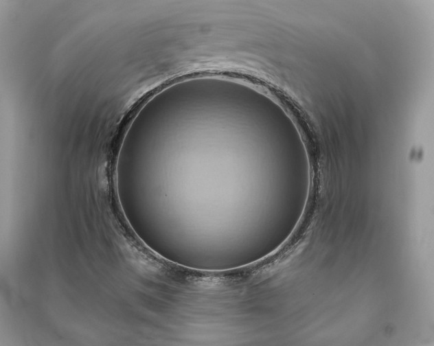 X0000090981497200708091446