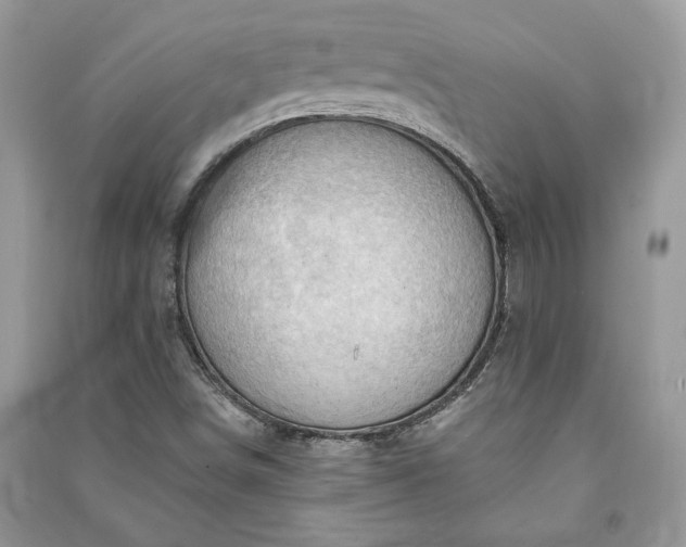 X0000090981498200708091446