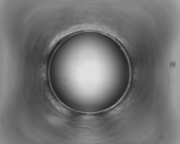 X0000090981499200708091446