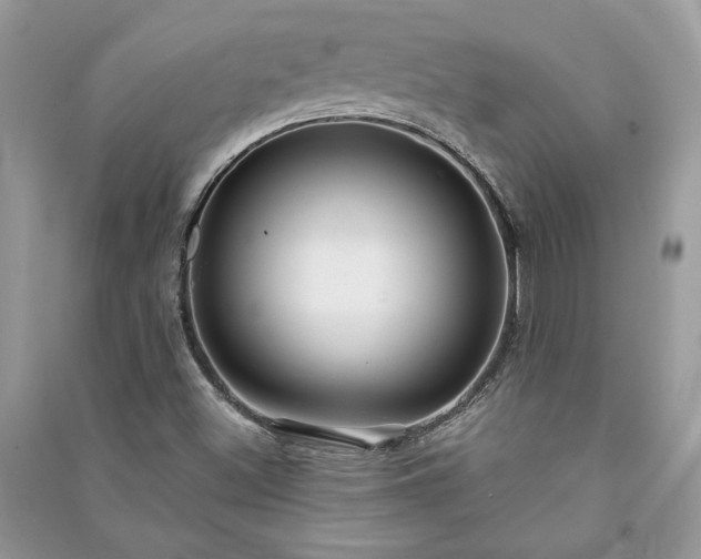 X0000090981500200708091446