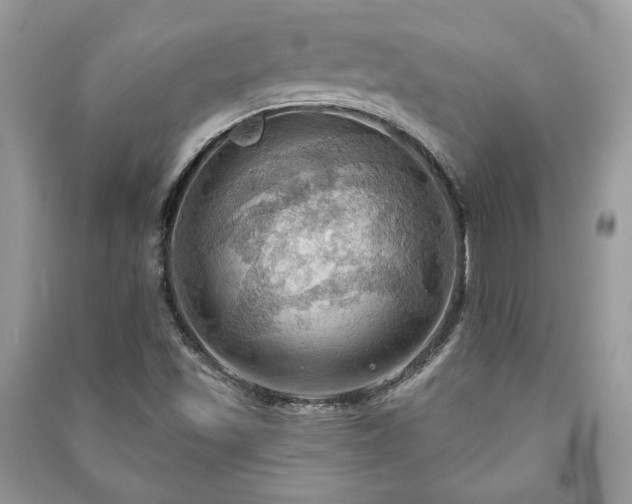 X0000090981501200708091446