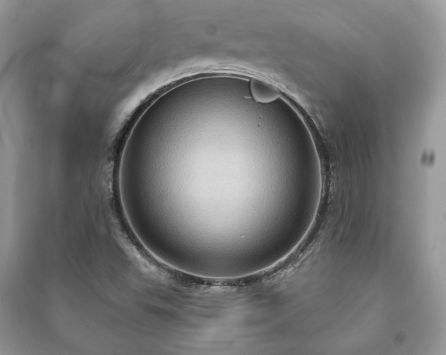 X0000090981503200708091446