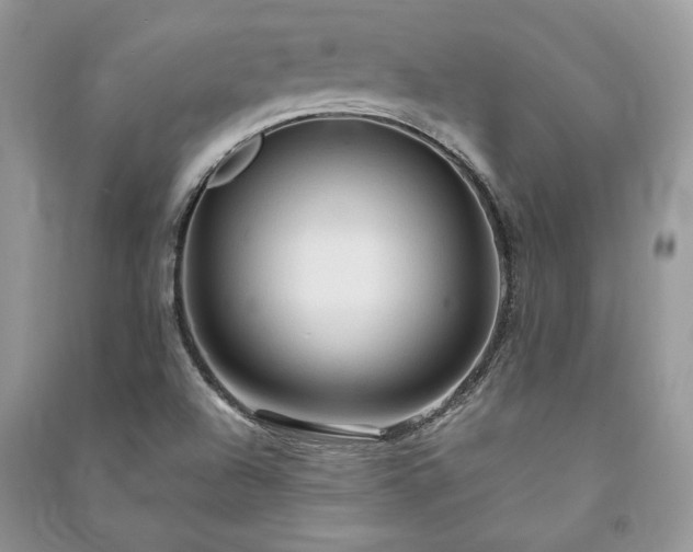 X0000090981504200708091446