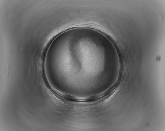 X0000090981506200708091447