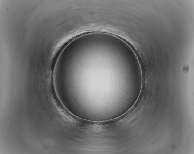 X0000090981507200708091447
