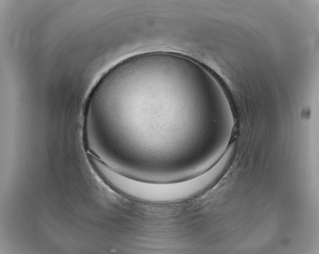 X0000090981508200708091447