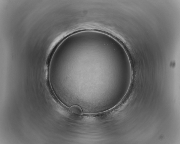 X0000090981509200708091447