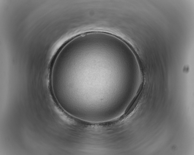 X0000090981511200708091447