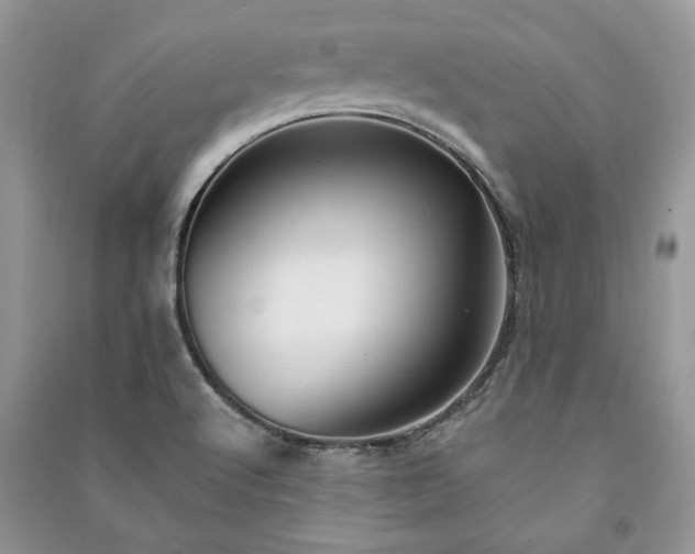 X0000090981512200708091447