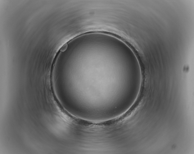 X0000090981513200708091447