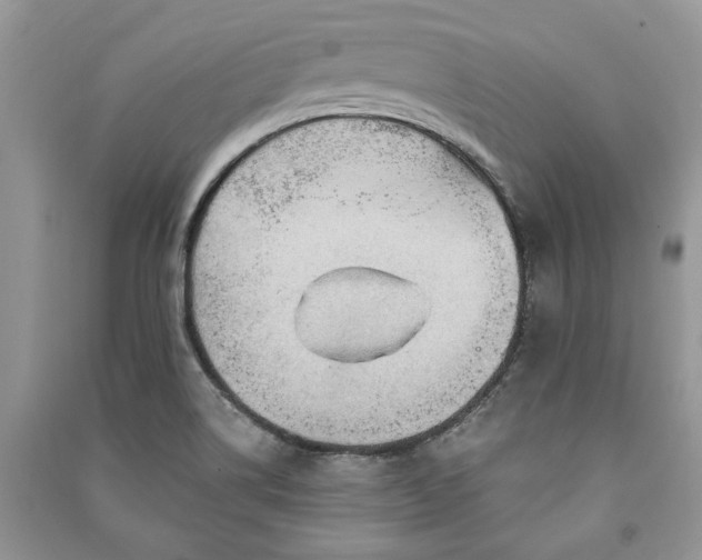 X0000090981514200708091447
