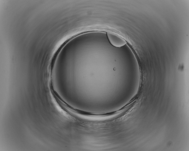 X0000090981515200708091447