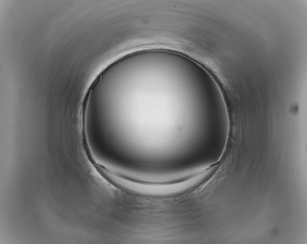 X0000090981516200708091447