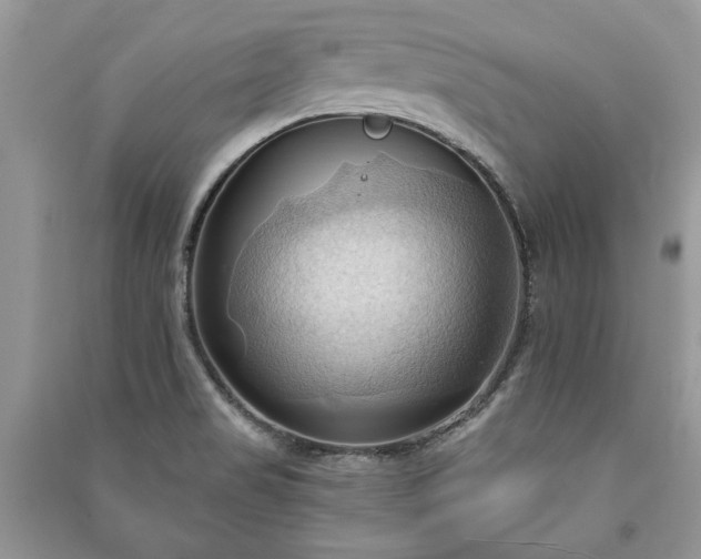 X0000090981517200708091447