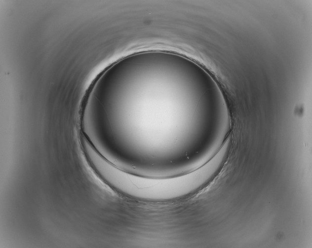X0000090981518200708091447