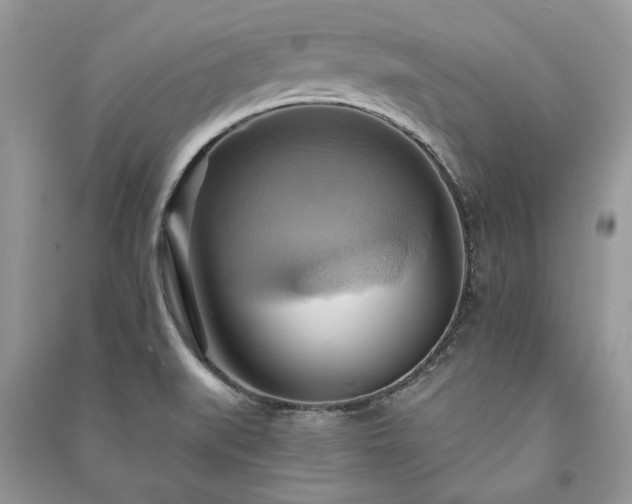X0000090981519200708091447