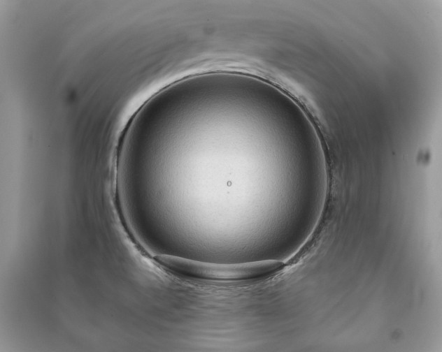 X0000090981520200708091447