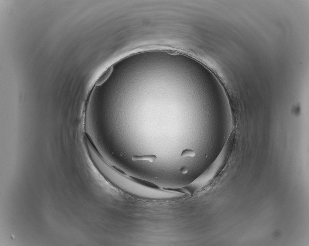 X0000090981524200708091447