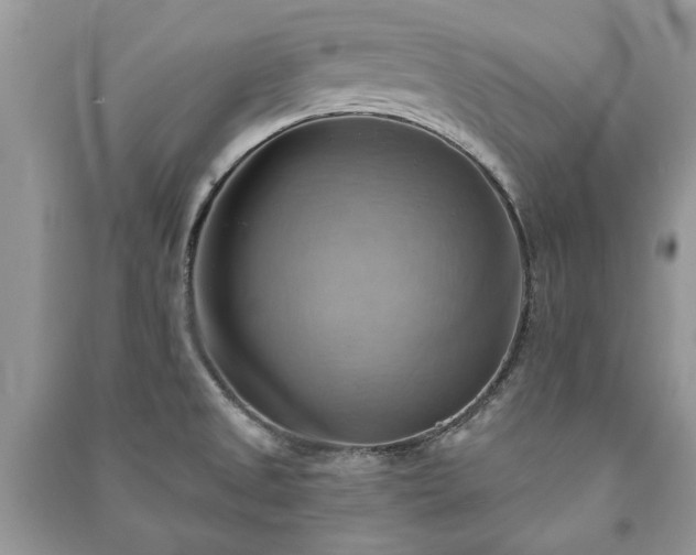 X0000090981525200708091447
