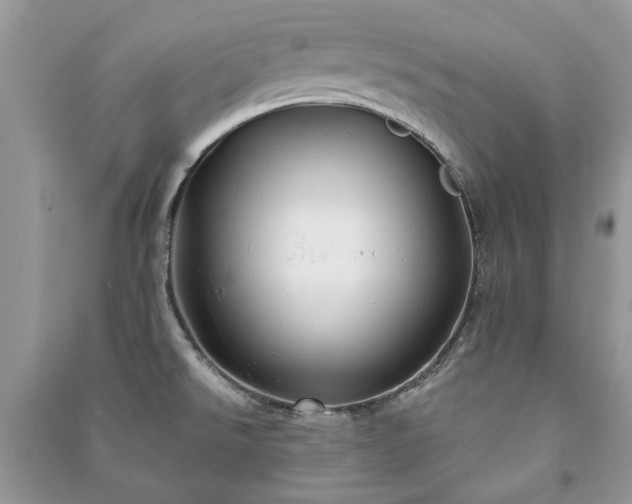 X0000090981526200708091447