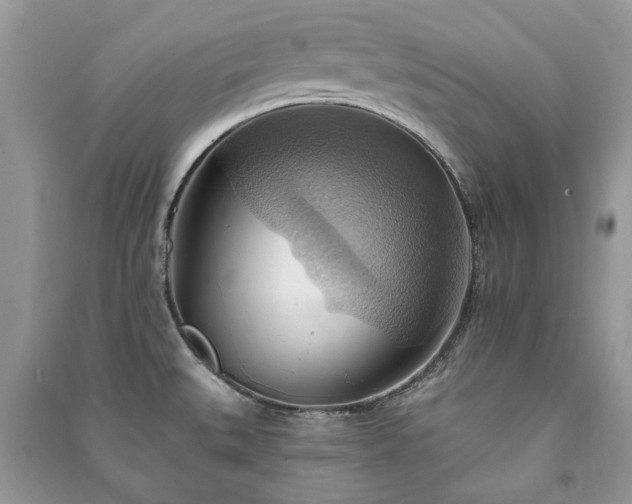 X0000090981527200708091447
