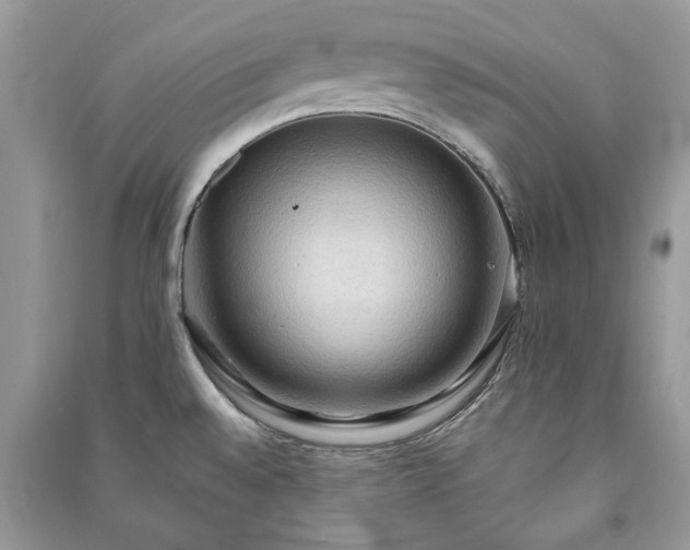 X0000090981528200708091447